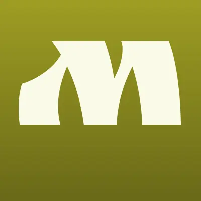 МИР БЕЗОПАСНОСТИ, торгово-монтажная компания, лого-визитка