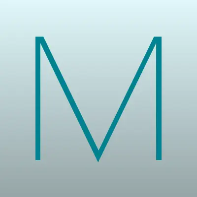 Магазин фейерверков, салютов и шаров, лого-визитка