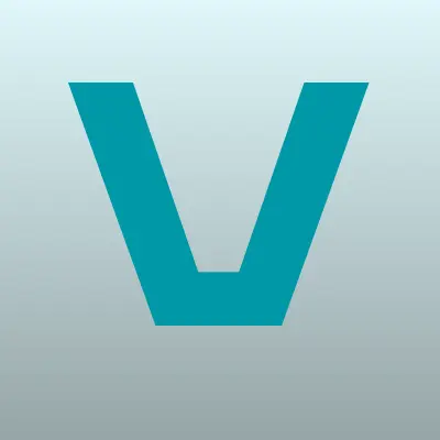VeSta, компания по продаже видеонаблюдения, лого-визитка