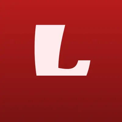 lite:WEB Цифровые Решения, компания, лого-визитка