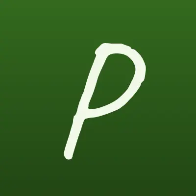 Профессионал